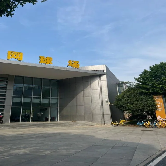 国羽如何备战汤尤杯争取新突破